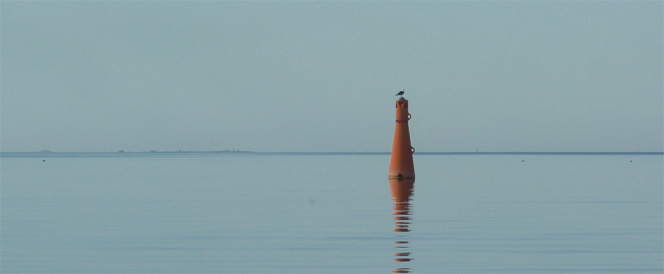 merimaisema lokki merimerkin päällä