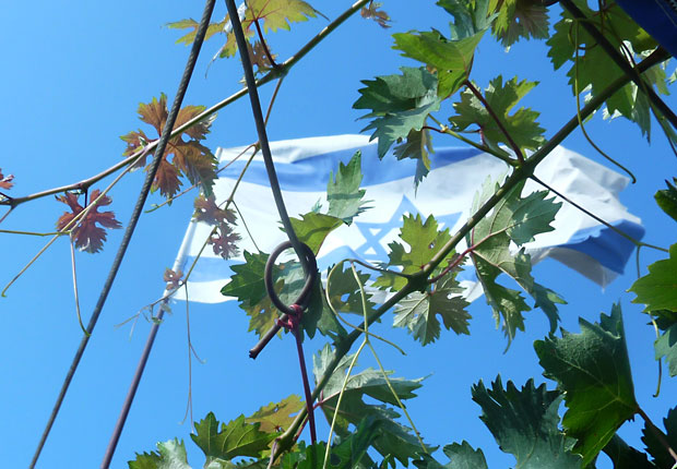 israelin lippu viiniköynnösten takana