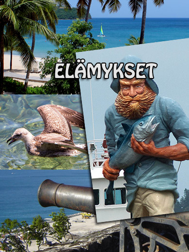 elamykset