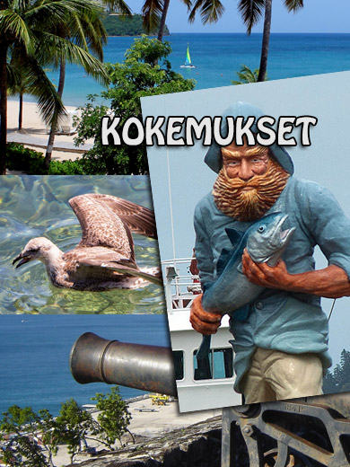 kokemukset